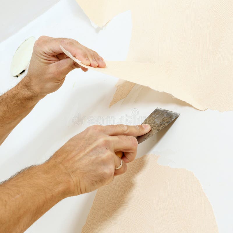 Wilcom Consulting Inc wallpaper removal Houston
